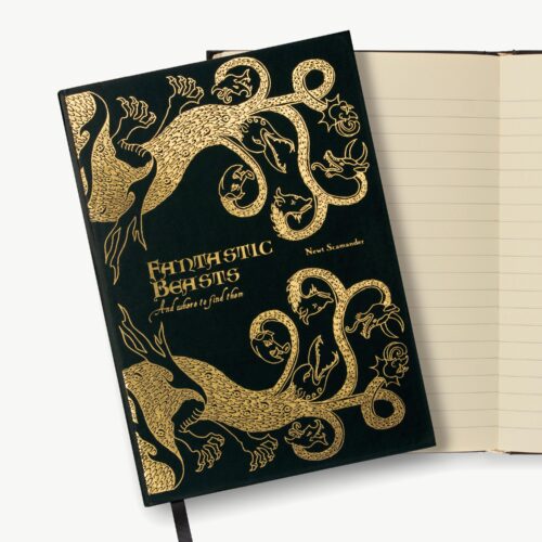 Cuaderno de libros de magia: Animales fantásticos y dónde encontrarlos