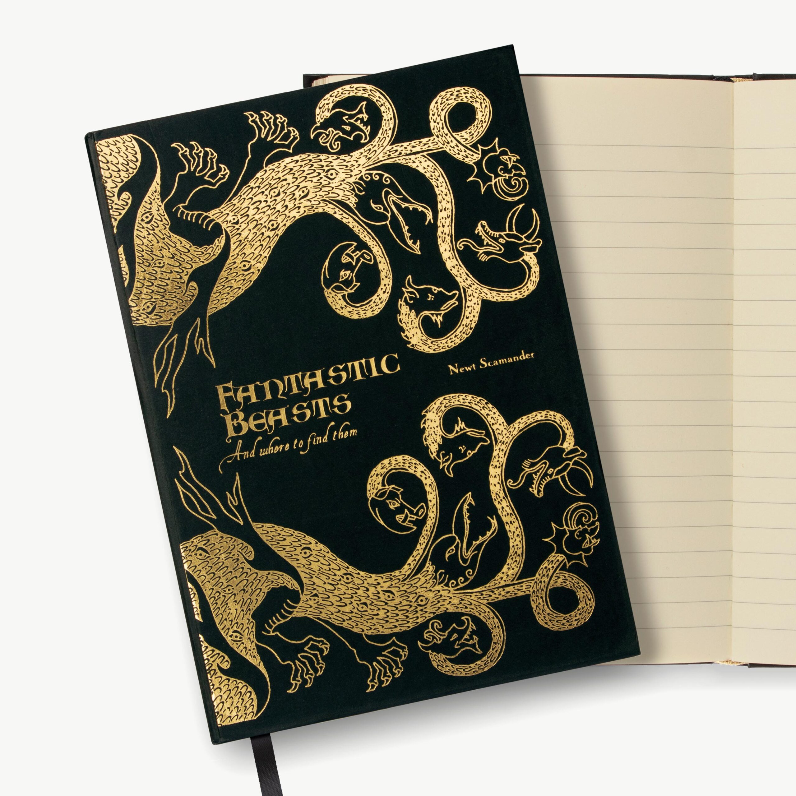 Cuaderno de libros de magia: Animales fantásticos y dónde encontrarlos
