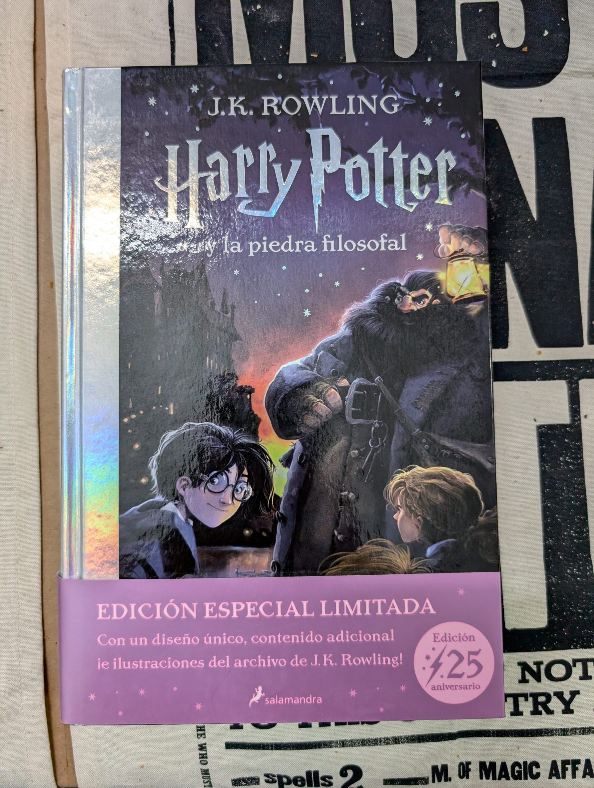 HARRY POTTER Y LA PIEDRA FILOSOFAL (ed. 25 aniversario) 1 HARRY POTTER Y LA PIEDRA FILOSOFAL (ed. 25 aniversario)