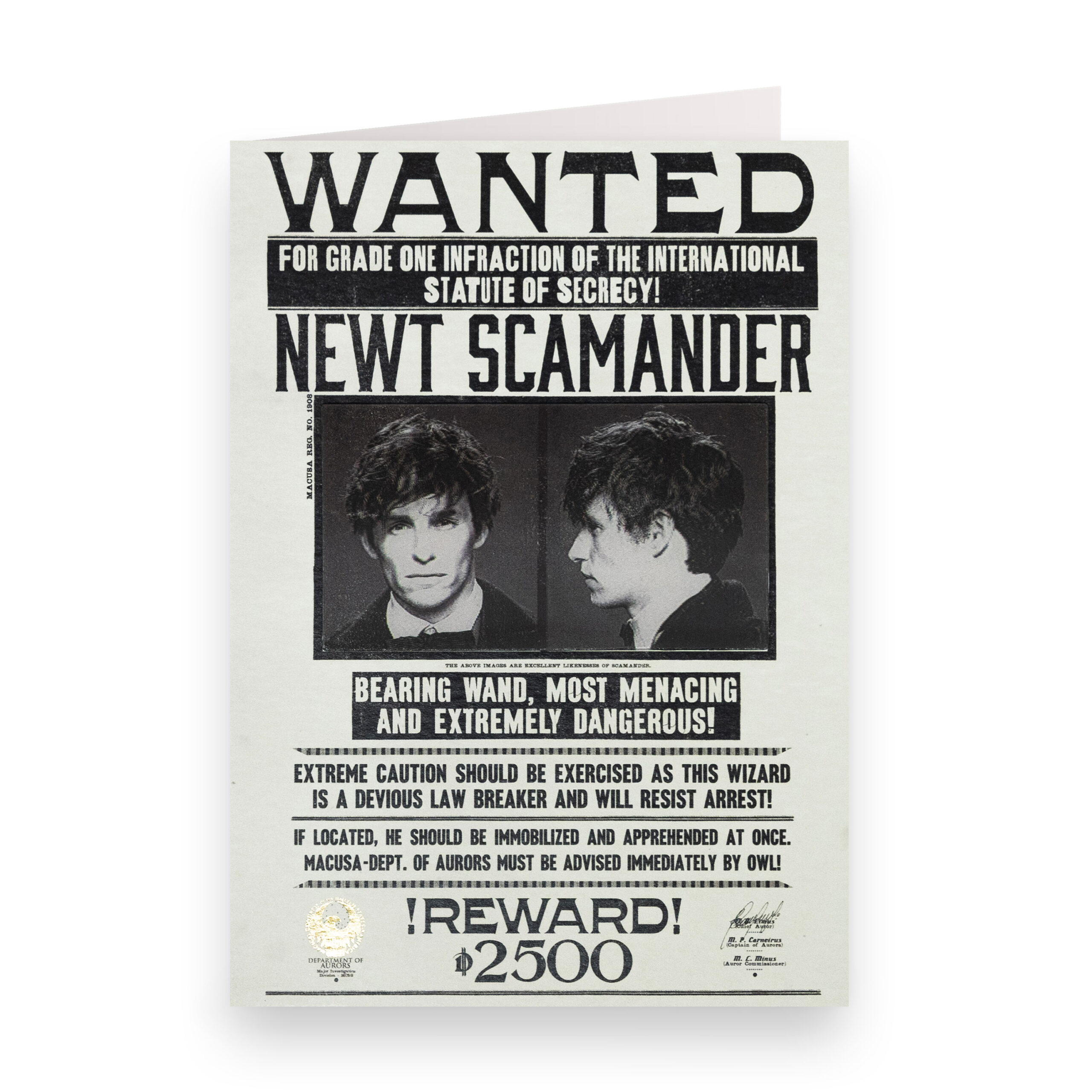 TARJETA DE NOTAS (LENTICULAR) MACUSA - Se busca aviso de "Newt Scamander" 2 TARJETA DE NOTAS (LENTICULAR) MACUSA - Se busca aviso de "Newt Scamander" - Imagen 2