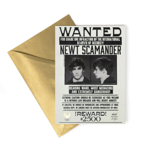 TARJETA DE NOTAS (LENTICULAR) MACUSA - Se busca aviso de "Newt Scamander"