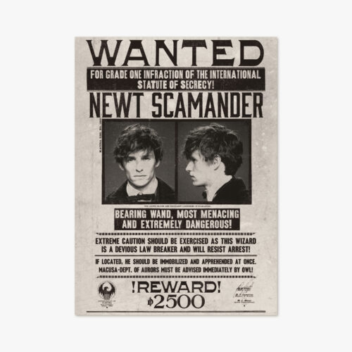 Póster Aviso de búsqueda de Newt Scamander