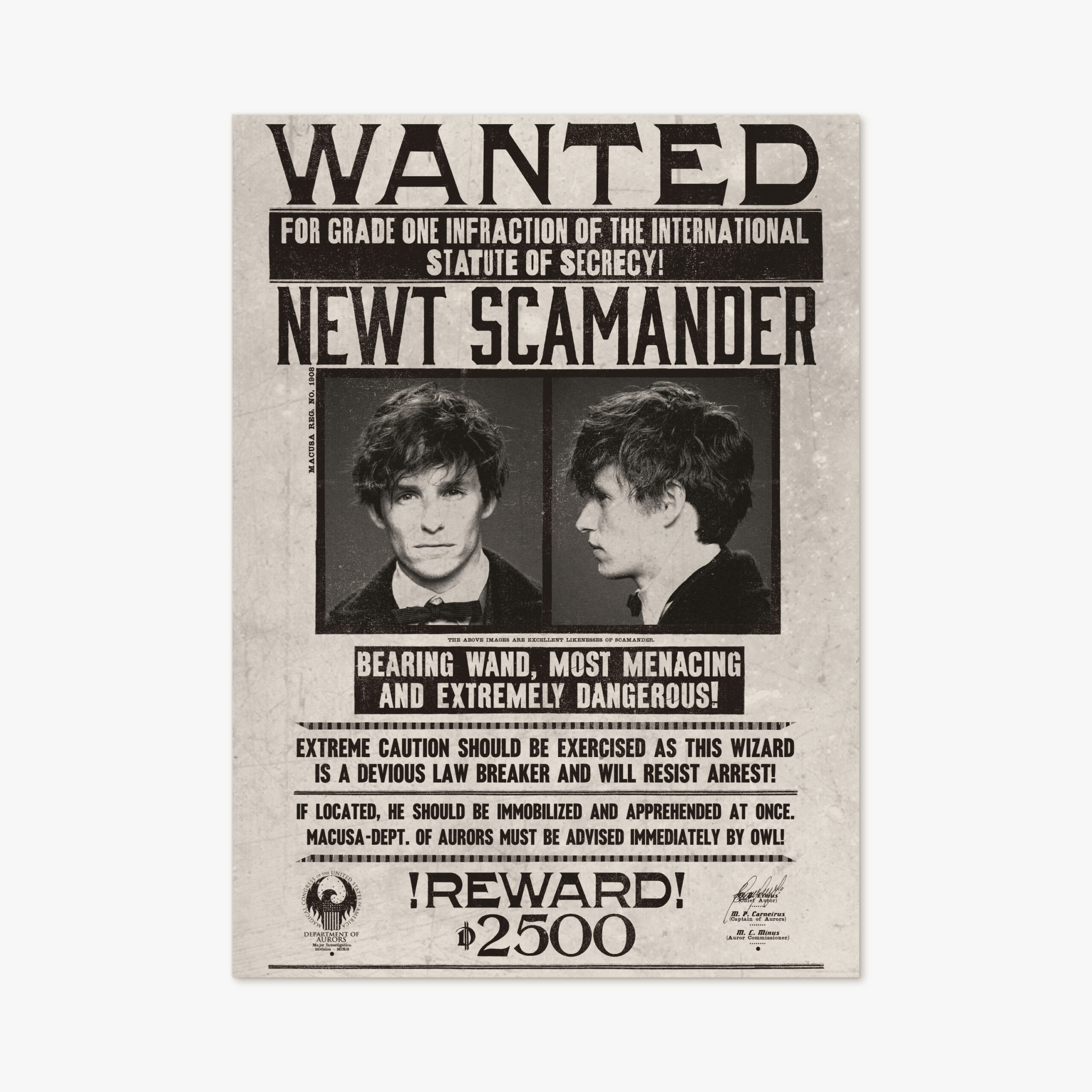 Póster Aviso de búsqueda de Newt Scamander 1 Póster Aviso de búsqueda de Newt Scamander