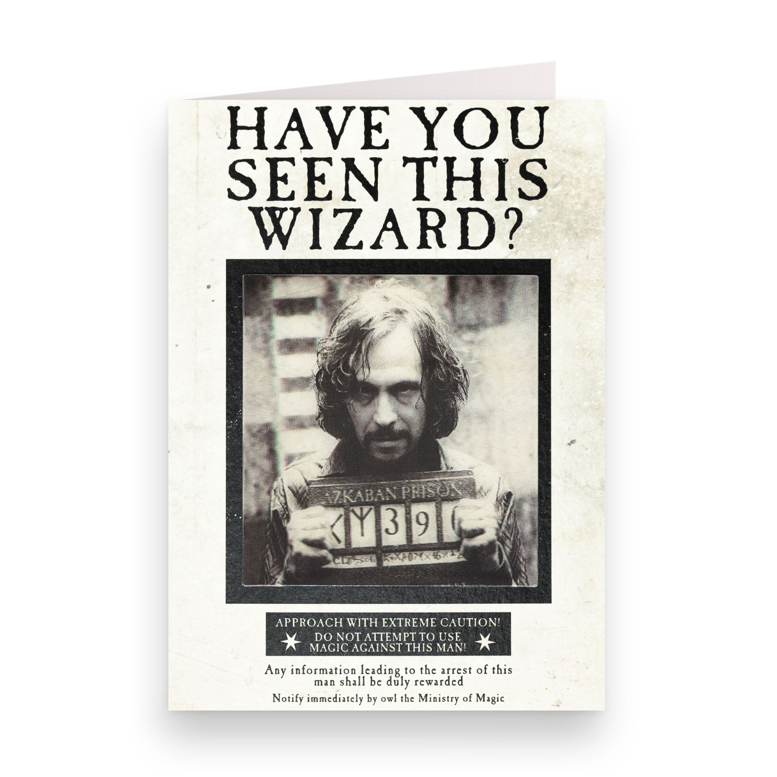 TARJETA DE NOTAS (LENTICULAR) Ministerio de Magia - ‘¿Has visto a este mago?’ 2 TARJETA DE NOTAS (LENTICULAR) Ministerio de Magia - ‘¿Has visto a este mago?’ - Imagen 2