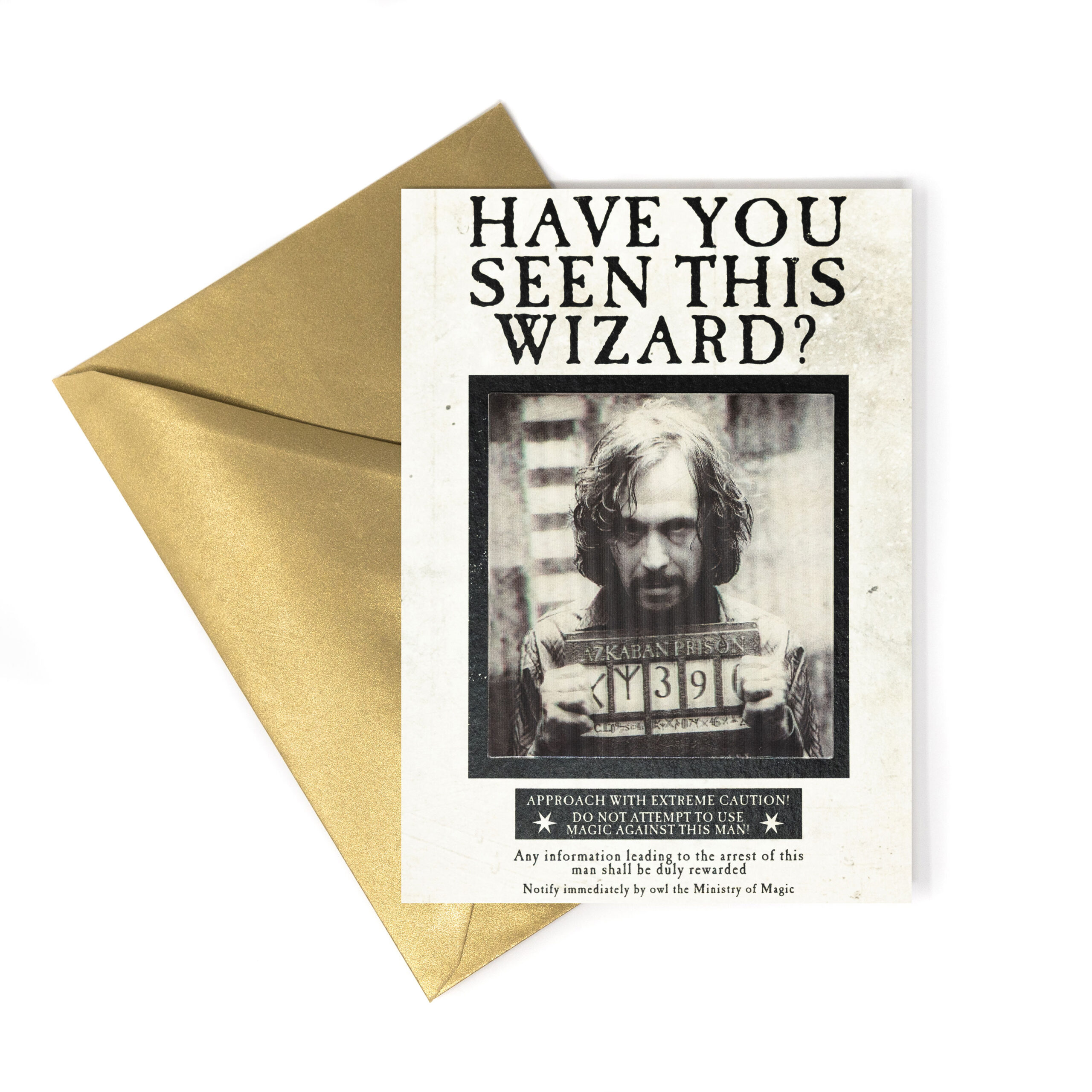 TARJETA DE NOTAS (LENTICULAR) Ministerio de Magia - ‘¿Has visto a este mago?’ 1 TARJETA DE NOTAS (LENTICULAR) Ministerio de Magia - ‘¿Has visto a este mago?’
