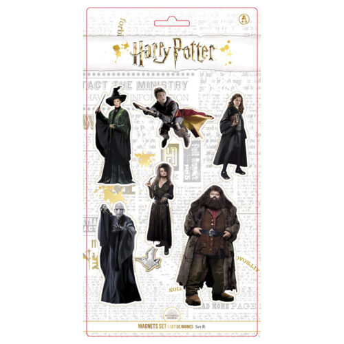Blíster 6 imanes personajes Harry Potter