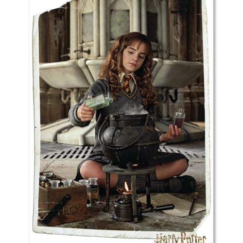 Póster de Hermione preparando poción