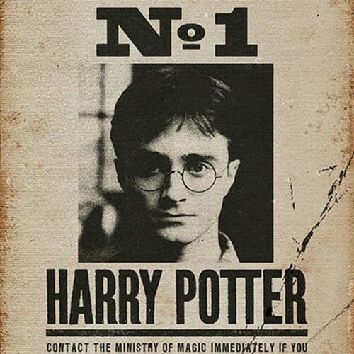 Póster Indeseable Nº1