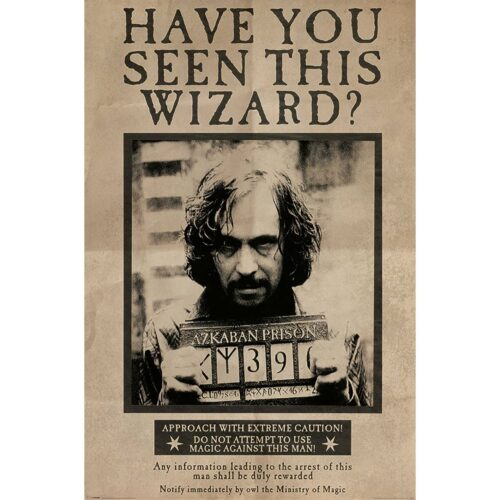 Póster Se busca a Sirius Black
