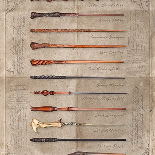 Póster The Wand Chooses the Wizard