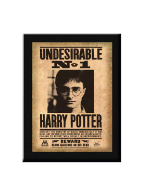 Placa Undesirable N°1 Harry Potter