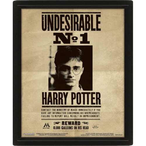 Cuadro lenticular 3D Harry y Sirius - 10 × 8 pulgadas