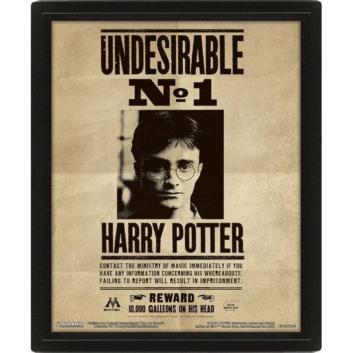 Cuadro lenticular 3D Harry y Sirius - 10 × 8 pulgadas 1 Cuadro lenticular 3D Harry y Sirius - 10 × 8 pulgadas