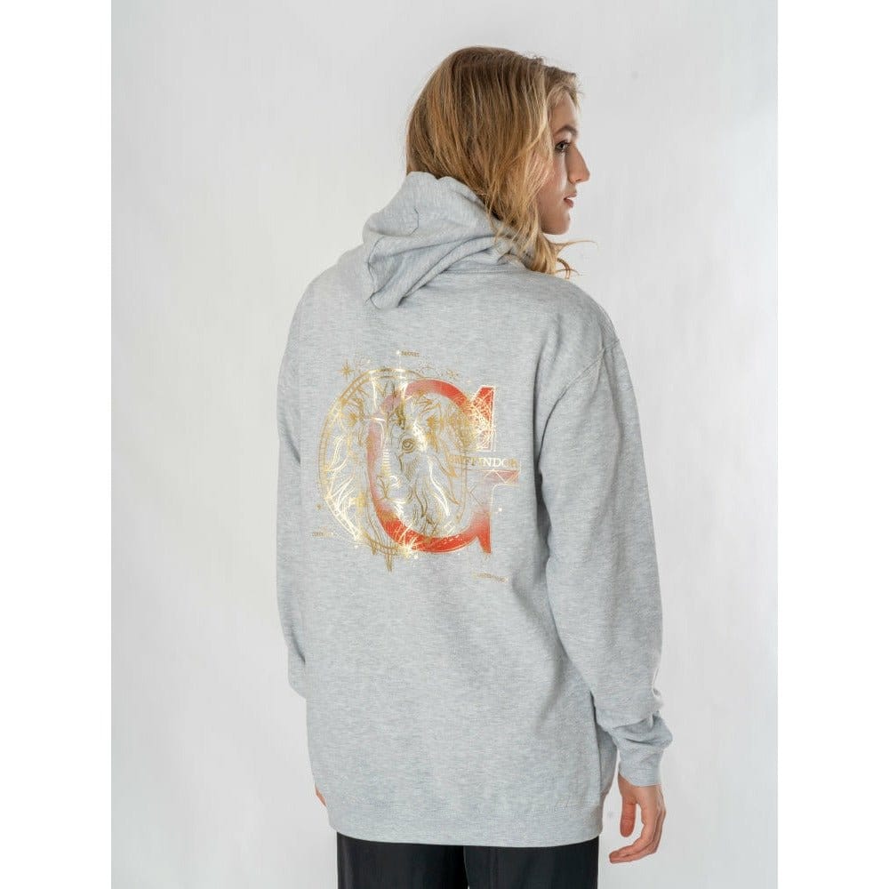 Harry Potter Sudadera capucha Gryffindor Zodiac Talla XL 2 Harry Potter Sudadera capucha Gryffindor Zodiac Talla XL - Imagen 2