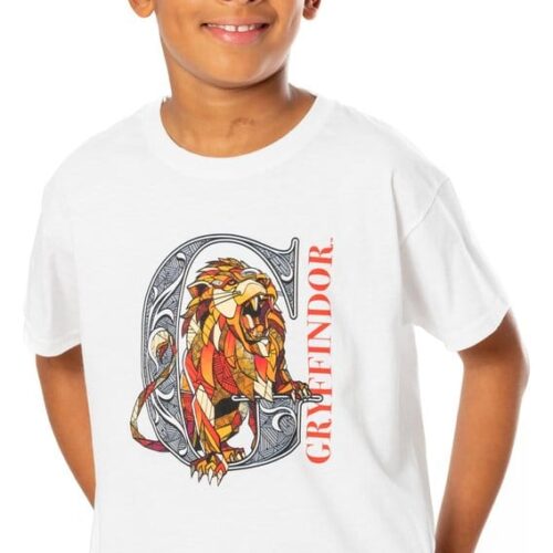 Harry Potter Camiseta niño Gryffindor Mosaic Talla 12-13